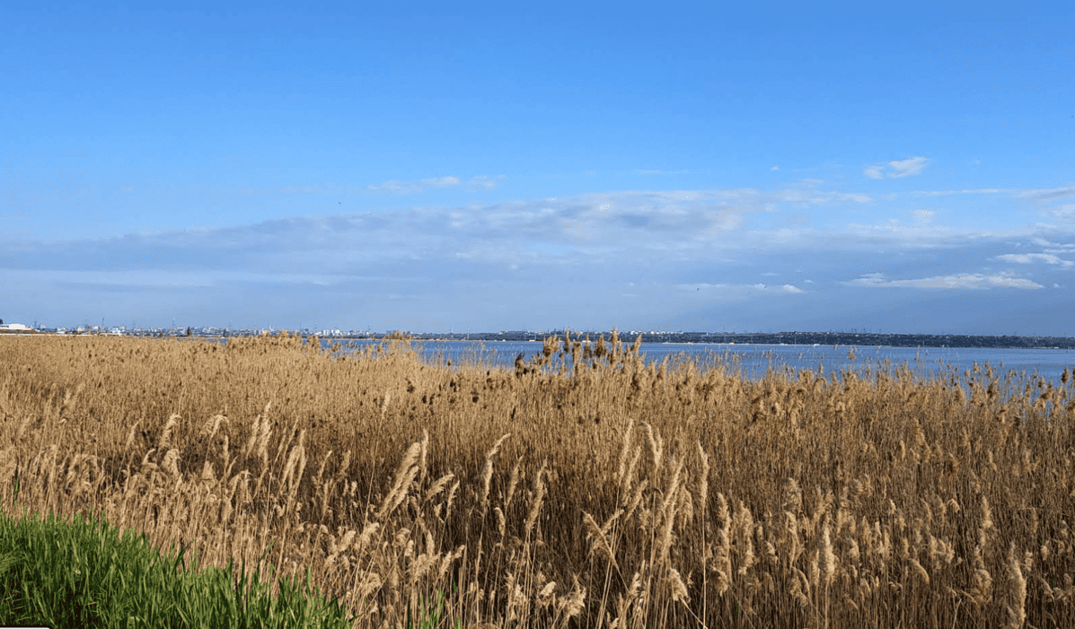 Картинка слайдера 1